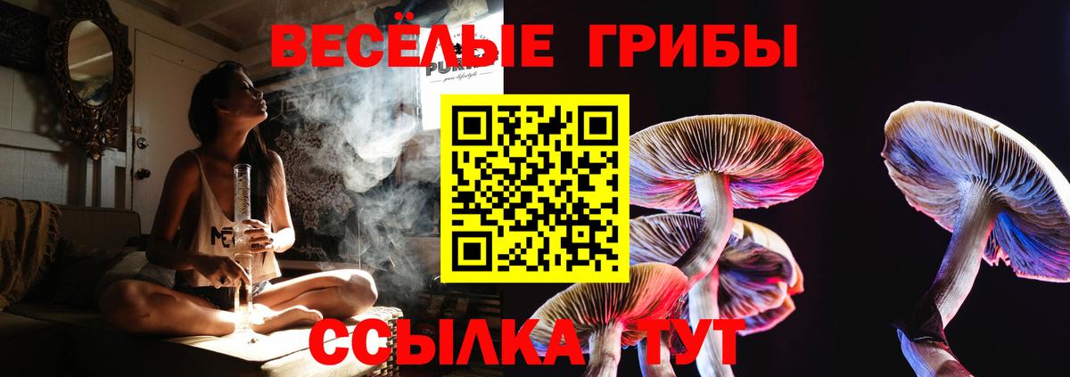 Псилоцибиновые грибы MAGIC MUSHROOMS  Вход с VPN  Псилоцибиновые грибы Psilocybine cubensis  Стрежевой 