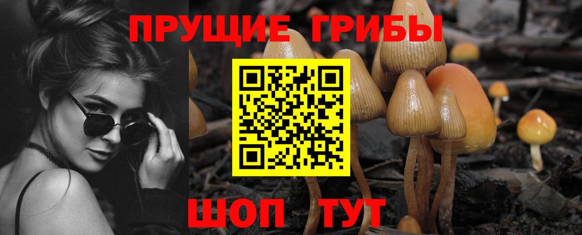 Галлюциногенные грибы Psilocybine cubensis Стрежевой